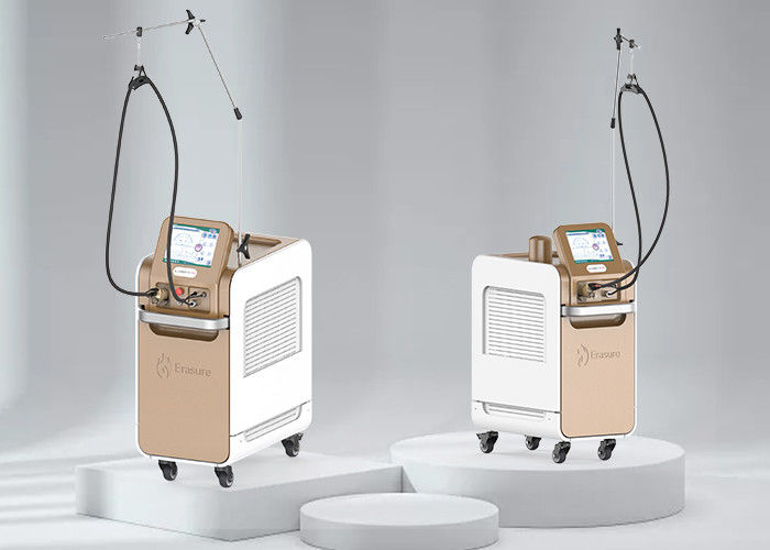 Haarverwijdering LCD Zacht Max Pro Laser With 2 Paren van Lampen220v Ac Input