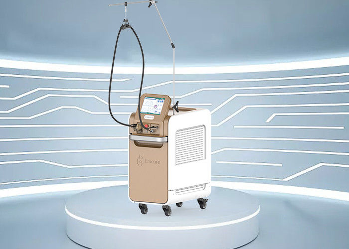 Draagbare van het de Laserhaar van 755nm Alexandrite de Verwijderingsmachine 220V AC met pp DI Filter