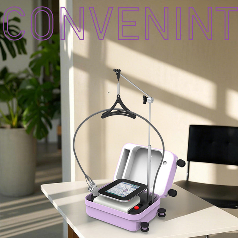 Alexandrite Mini Draagbare schoonheidstoestellen Smart Touch Power Supply Part Bison Light And Easy 755nm Mini Machine Alexandrite 755nm Laser Haarverwijdering
